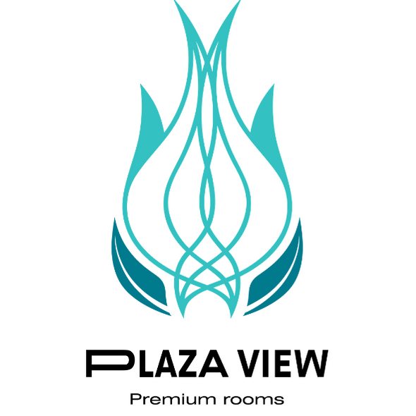 "Logotipo de Plaza View, Premium rooms en Valencia, España"